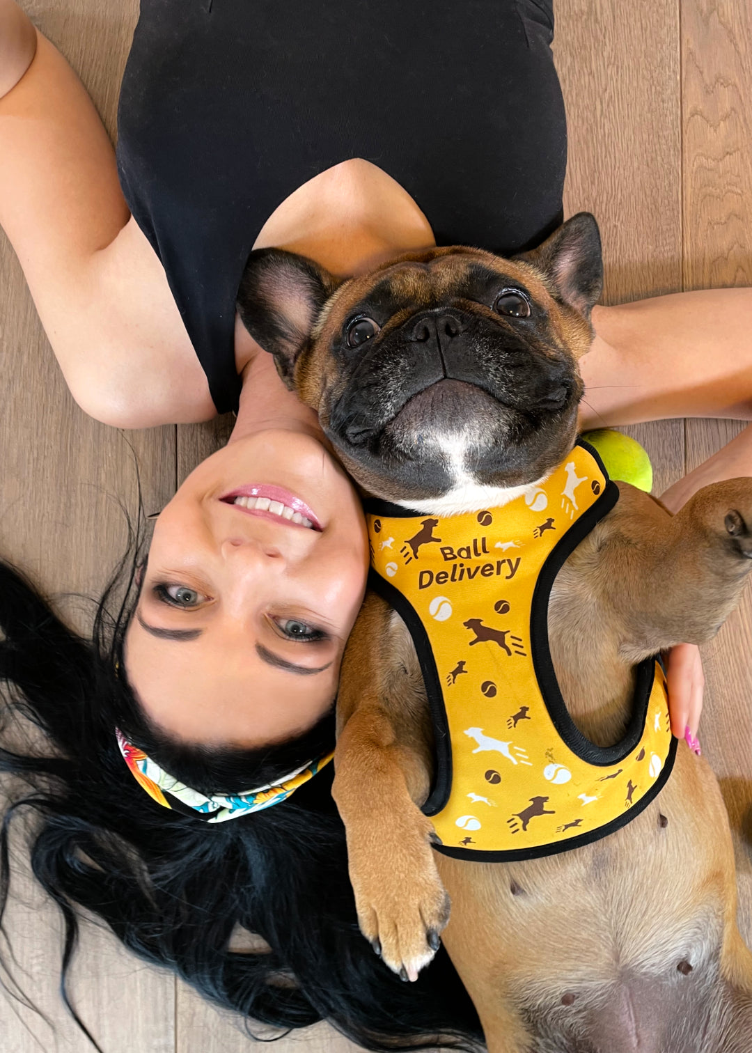 Both the human mom and french bulldog both lay on a wooden floor, head to head from the opposite sides, looking upwards, mom is smiling and the doggo is surprised by what's going on, while wearind ball delivery design harness.