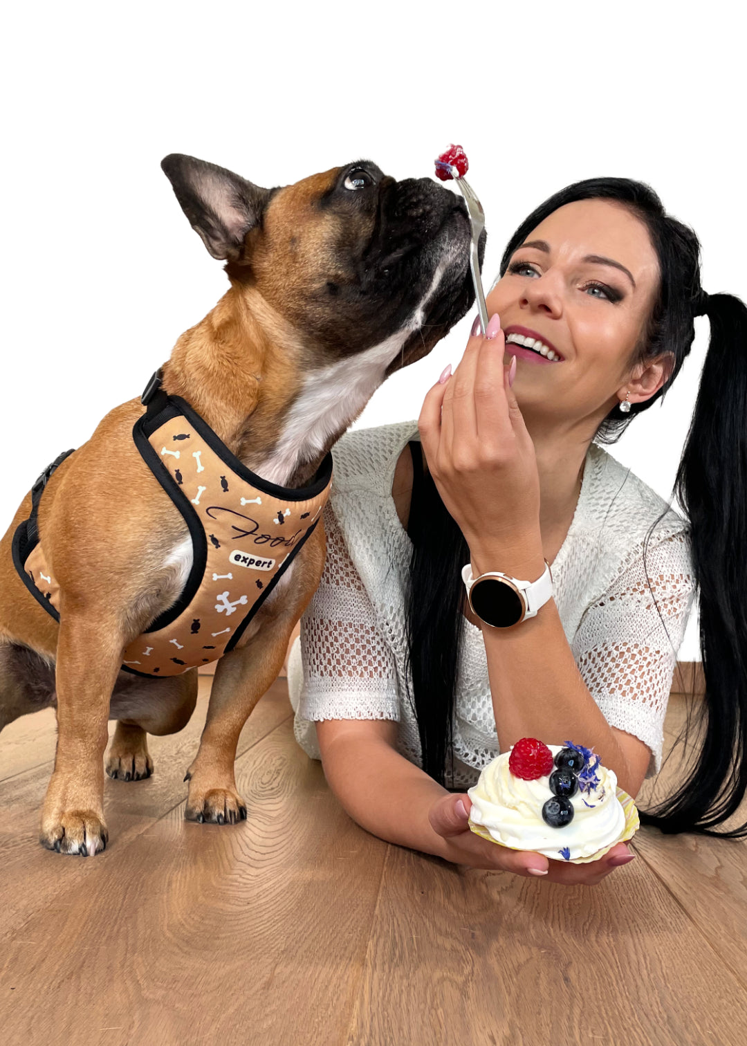 French bulldog wearing food expert design harness with really dark candy illustrations, white bones randomly scattared on a sand colored background with the text Food expert in the center right on chest. The doggo is next to her smiling human mom and is sniffing a berry on a fork from a small cupcake.