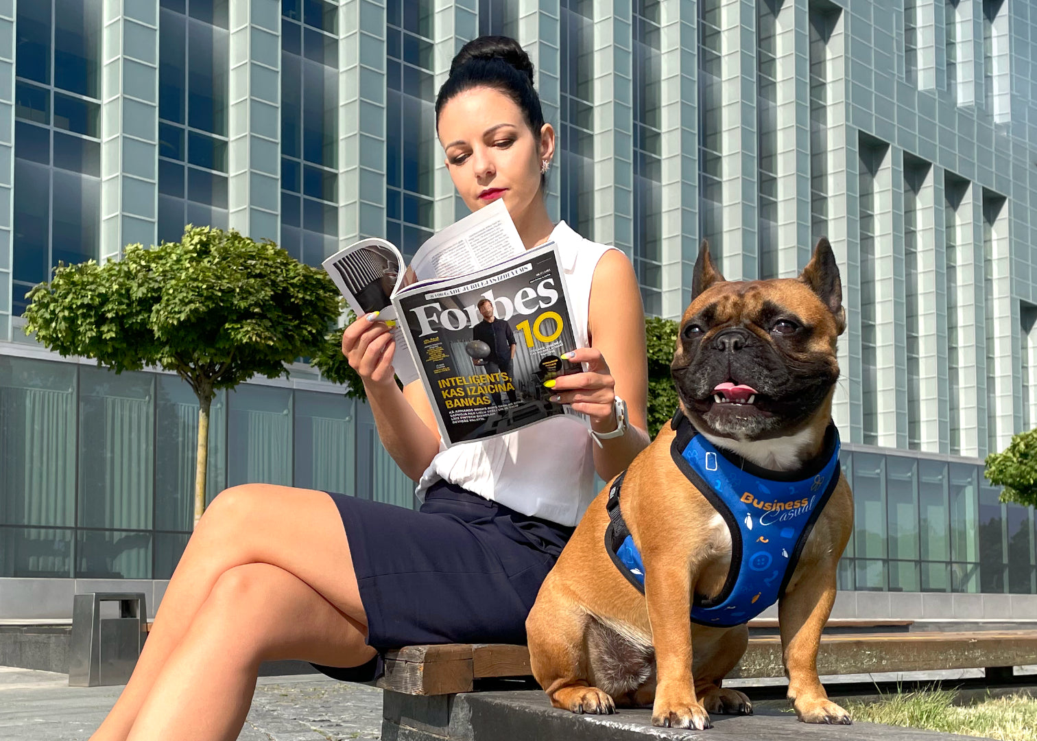 A french bulldog wearing blue themed business casual design harness sitting next to her mom who's reading Forbes outside of a business building, on a bench surrounded by a few artificially planted trees.